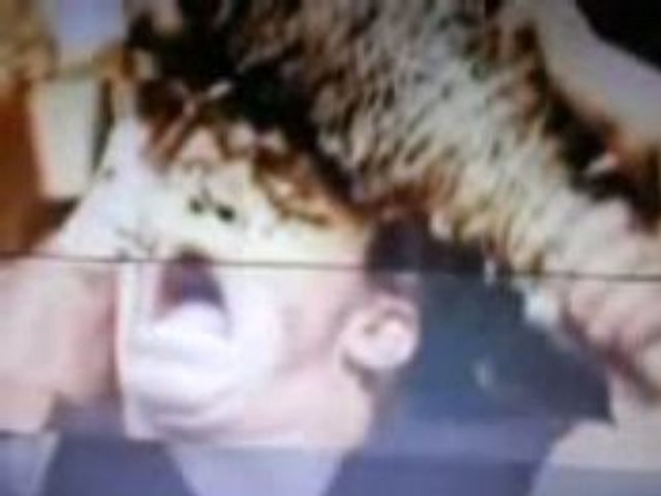 randy orton entrance