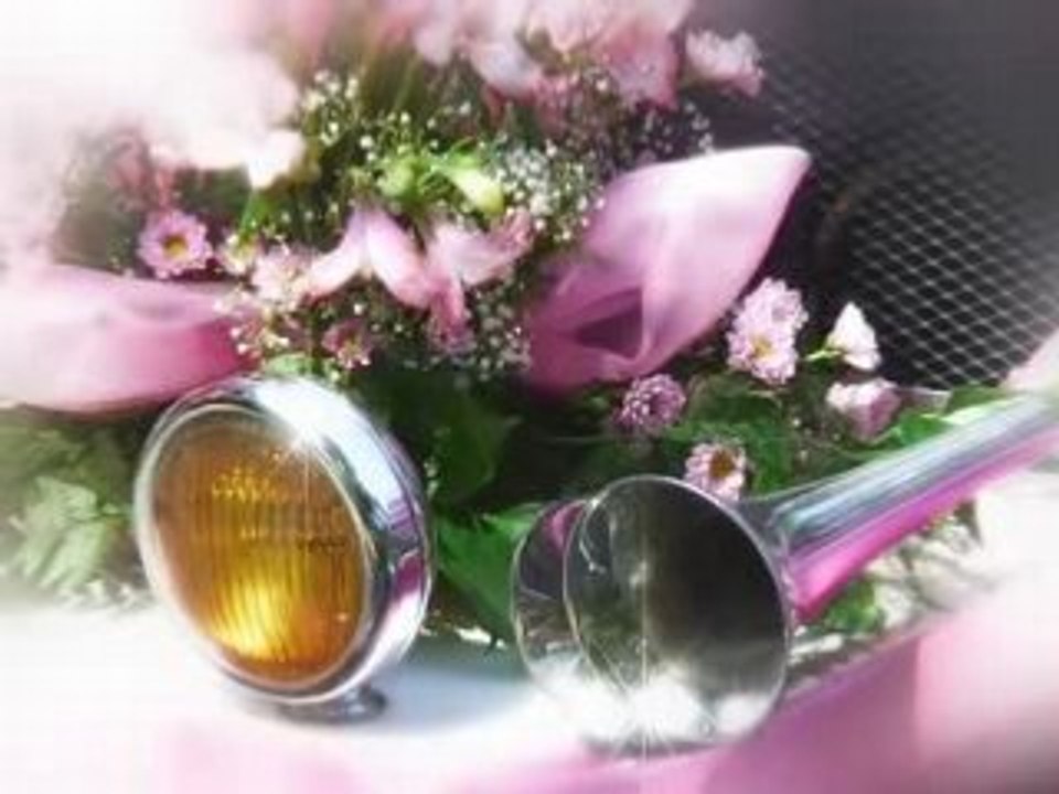 Свадебный ролик. Ирина и Дима