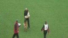 FCI2008-Scherkl