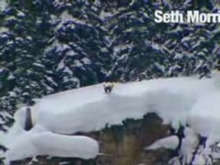 Under The Influence: Exclusive Seth Clip