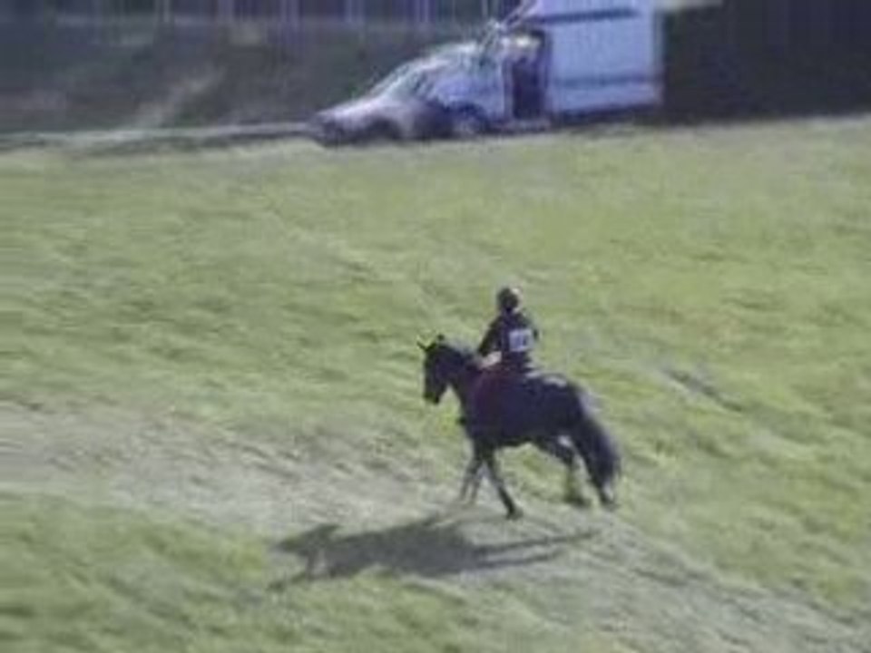 Mimi cross Pompadour 1