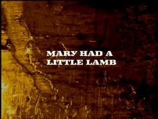 Stevie Vaughan - Mary Had A Little Lamb