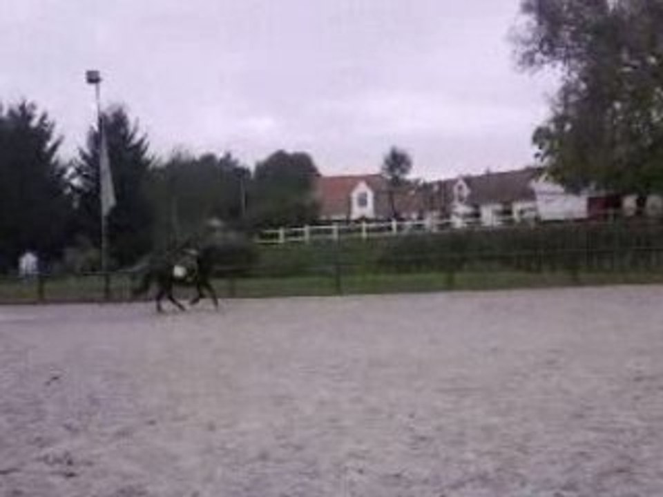Pedro et moiii obstacle