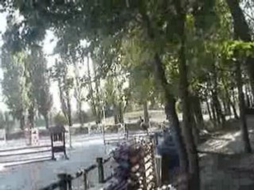 CSO ACEG Mathilde Princesa