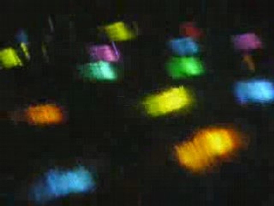 Teuf RAPT 27/09/08 [Dep : 27 ]