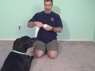 Eliminate Neck and Shoulder pain FAST..with a tennis ball!!