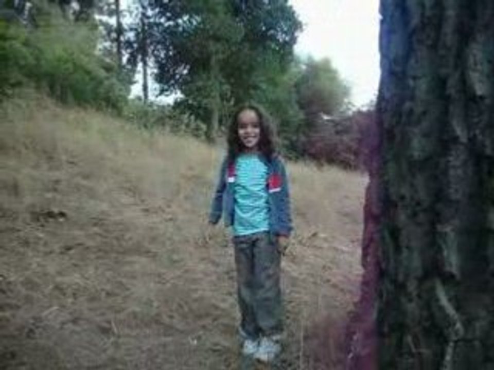 Munsterhalden In Berkeley Hills