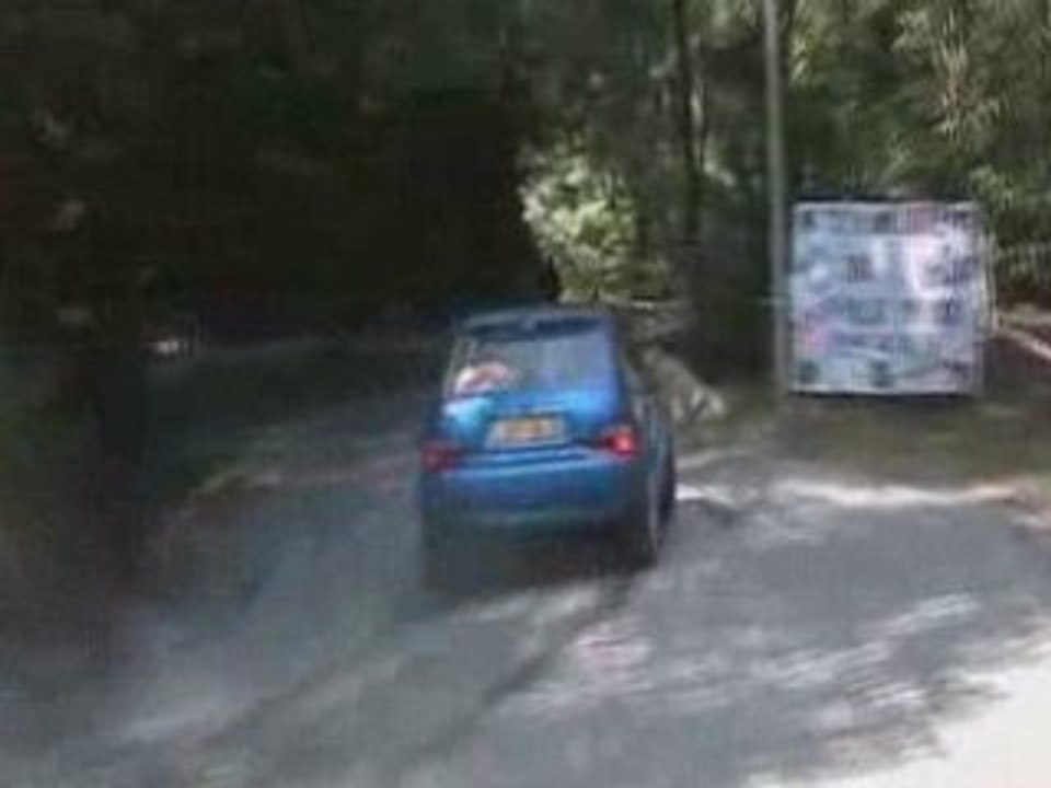 Rallye des Camisards 2008(1er pass suite)