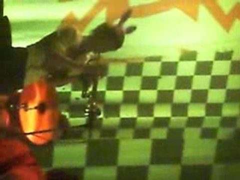 Für mich geschaffen de Killerpilze