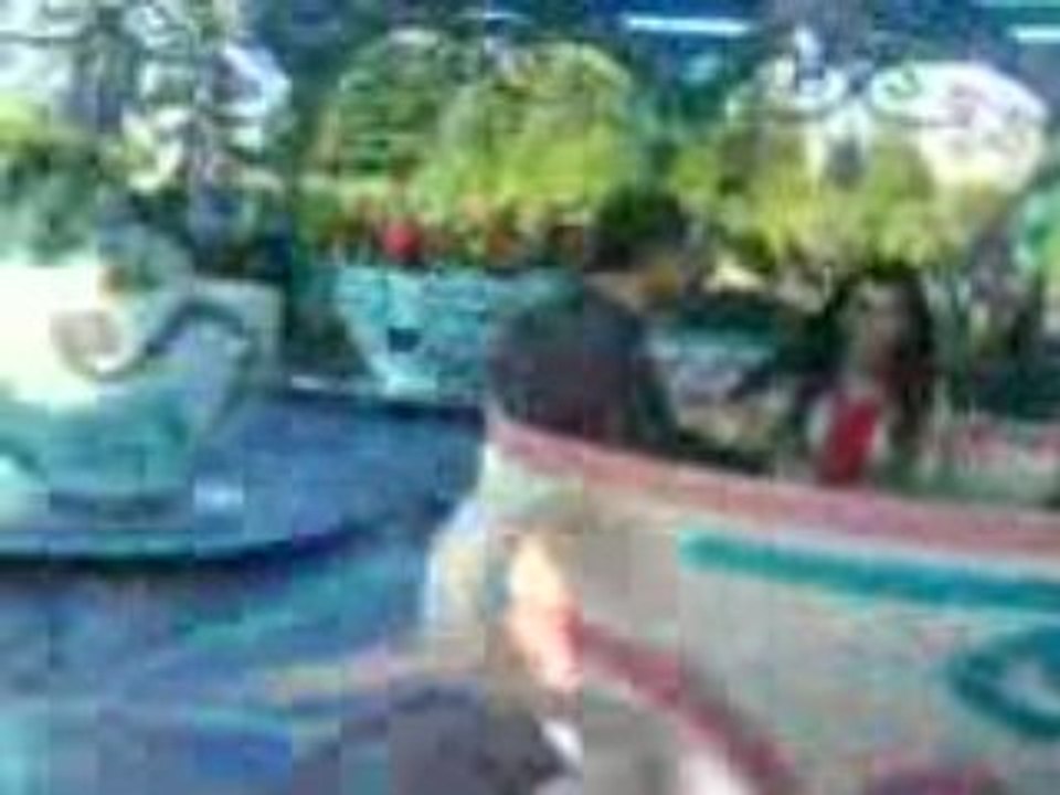 disneyland  vidéo dans une tasse