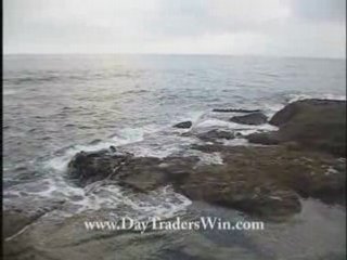 N19 Online Stock Trading Coach