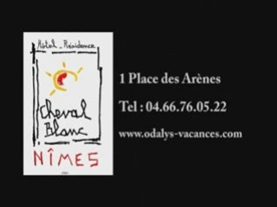Hotel le cheval blanc Nimes