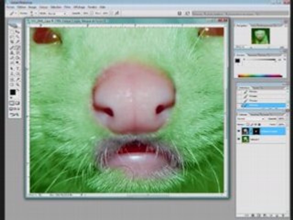 PhotoshopTutoriel: Garde de Couleur
