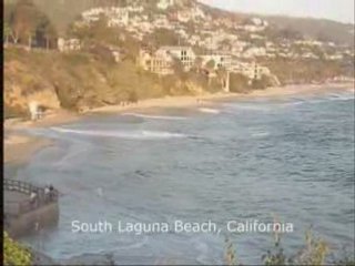 N1 Online Stock Trading Coach