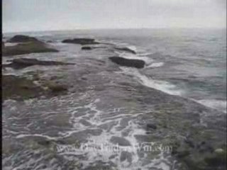 N17 Online Stock Trading Coach