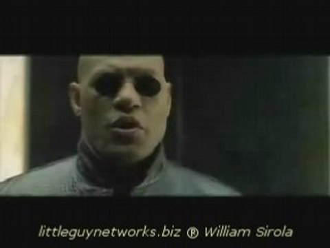 Little Guy Network Revolution Elite Team