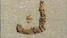 Arabic alphabet_2