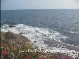 N25 Online Stock Trading Coach