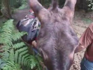 ATT-Ânes Tout Terrain