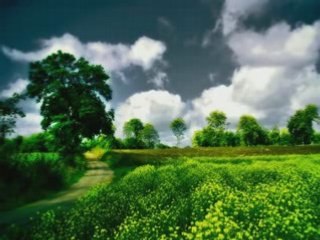 Cerf Mitsika aren Light The Skies-Mix