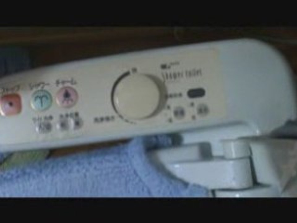 Toilettes japonaises