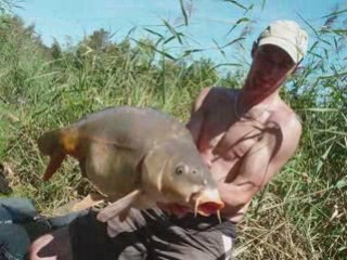 Domaine petit moulin 2008