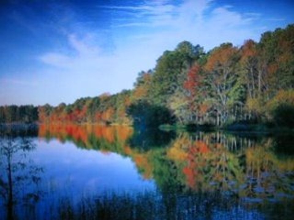 Un bel automne