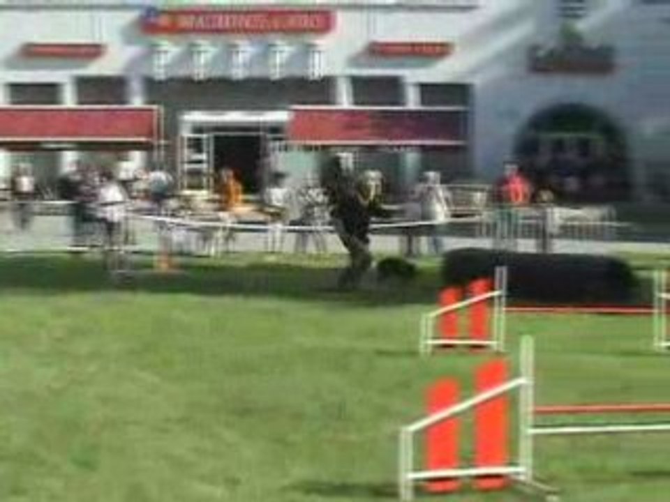JLucAgility