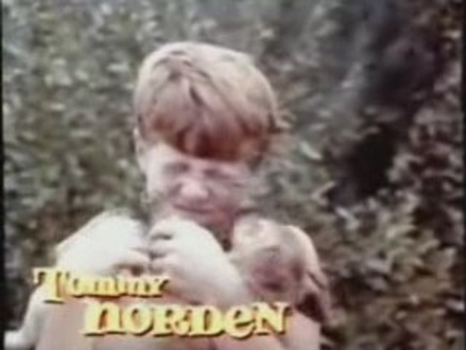 Flipper le dauphin Generique