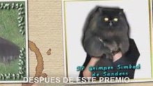 Criaderos-Sanders