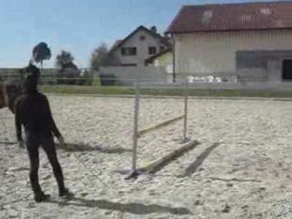 mOii et Derby 2