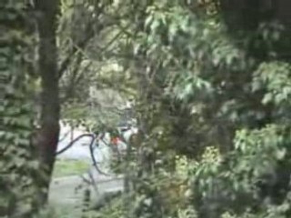 Jejbess30 Rallye sud