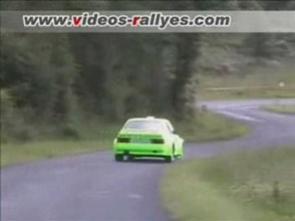 Rallye Haute Vallée de la Loire 2008 Reynaud/Carret BMW 320