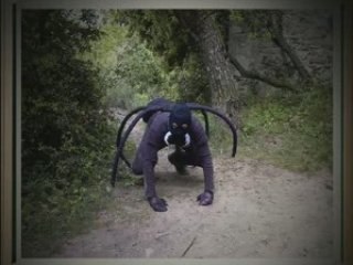 Minute Culturelle - La Toile d'araignée