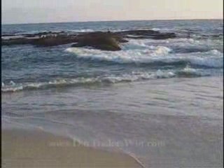 N33 Online Stock Trading Coach