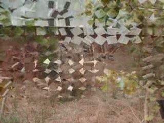 MUSEE DES DINOSAURES