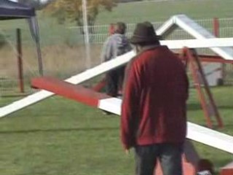 Agility (Open et Degrés Dieuze 2008 catégorie A)