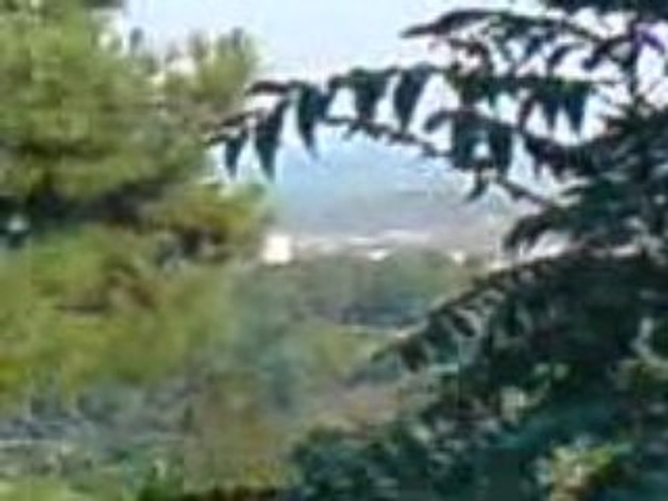 MOV00411