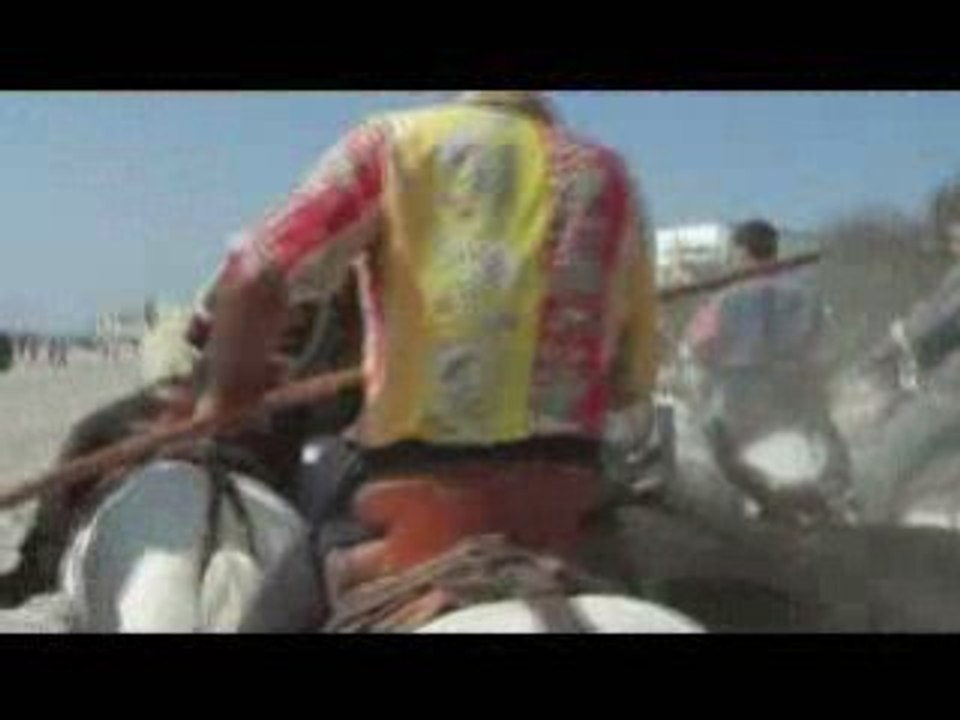 Abrivado des plages à Palavas Feria d'automne 2008