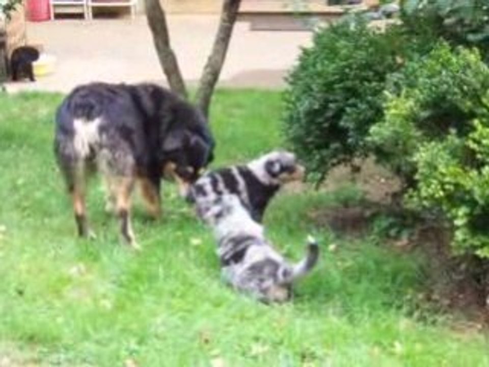 Le Boys Band à 1 mois