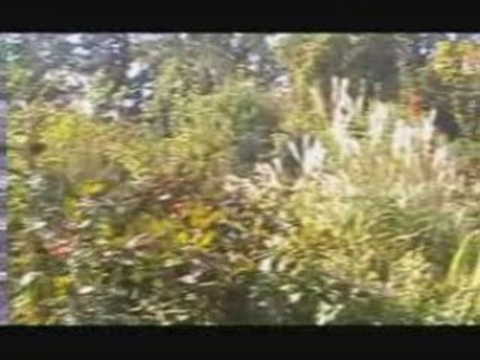 Parc paradisio