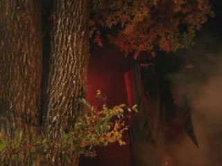 The Boxing Lesson "Brighter"