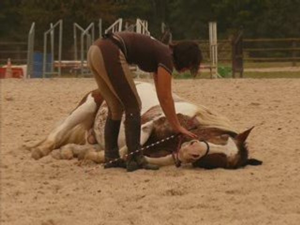 ballade corde + cirque mira et malcom