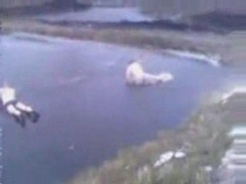 Régis en vacances en Russie