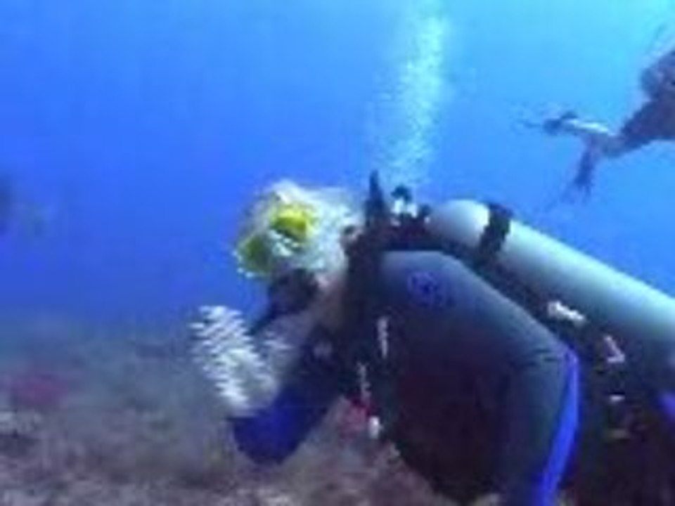 Honduras Dive 2
