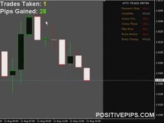 Forex Trade Signals - FREE Live Training