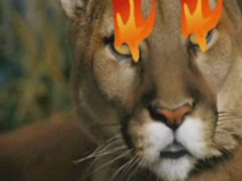 Прекрасная Турция