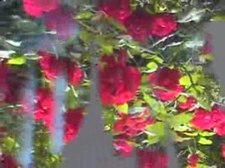 La Main et la rémanence