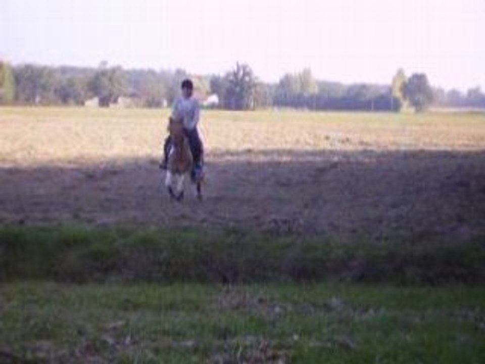 IMGP0387