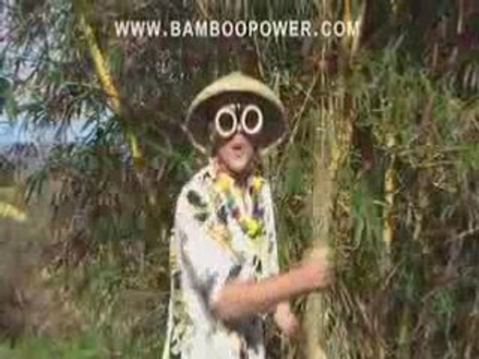 Bamboo, a Renewable Resource